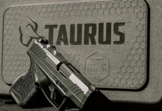 Taurus (TASA4) tem queda de 81