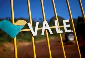 Vale (VALE3): Lula conversa com Mantega sobre indicação para cargo