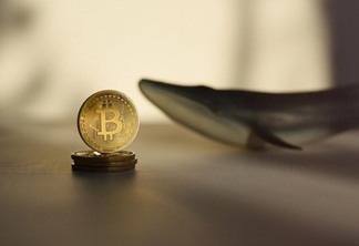 Bitcoin (BTC): em meio à crise