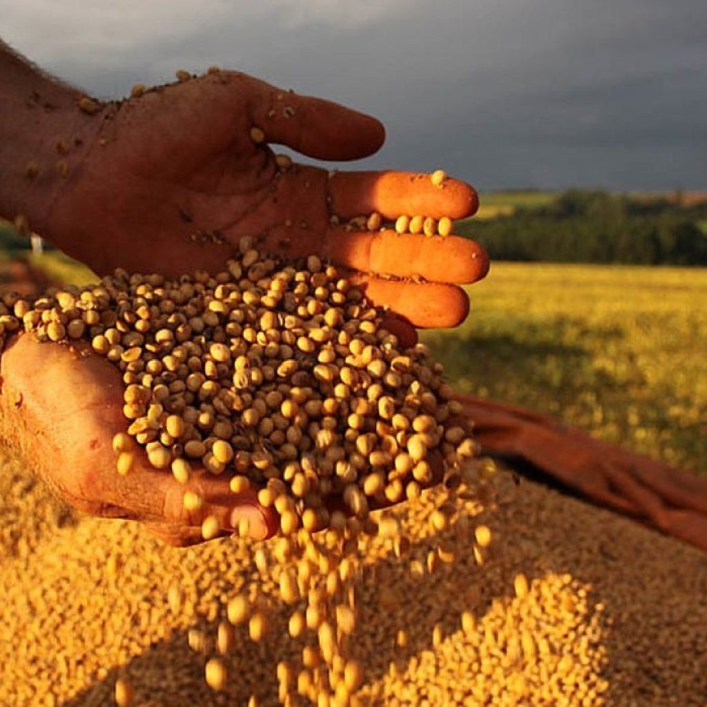 Brasil tem ritmo menor em exportação semanal de soja