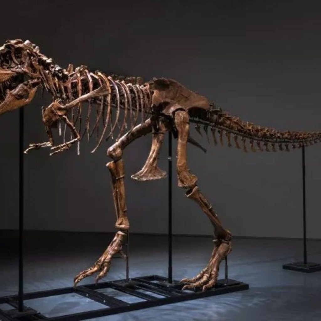Leilão: esqueleto de dinossauro é vendido por R$ 31 milhões