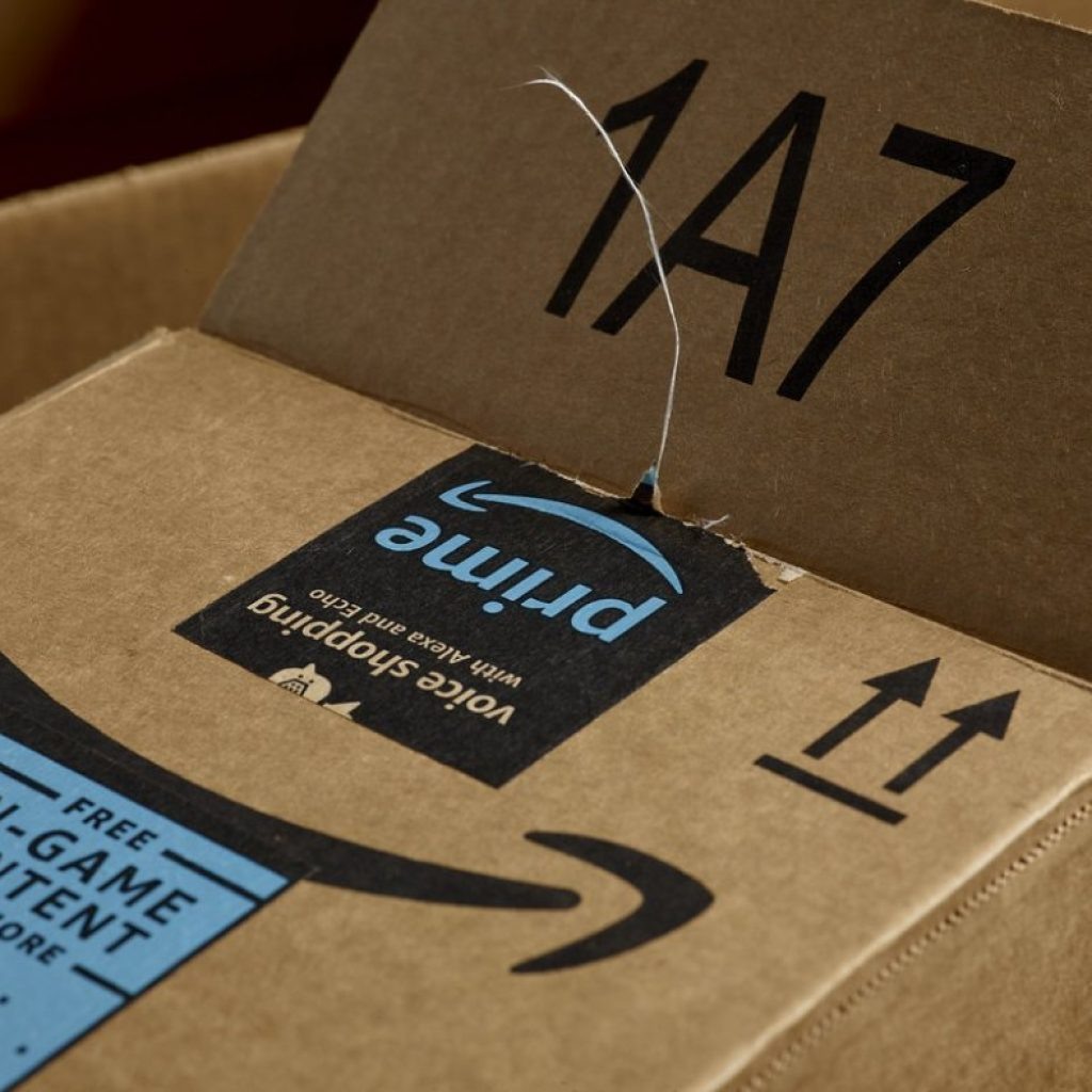 Amazon (AMZO34) registra maior número de vendas da história do Prime Day