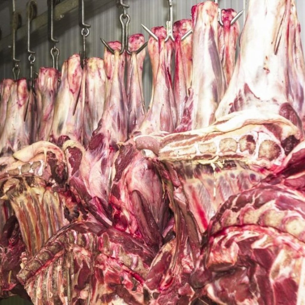 Carne bovina terá consumo diminuído no Brasil e na Argentina