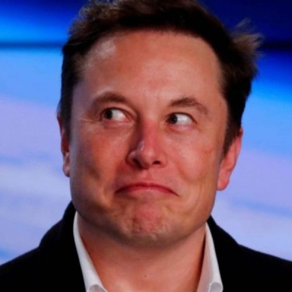 Elon Musk no Brasil: empresários reclamam de "conversa fiada"