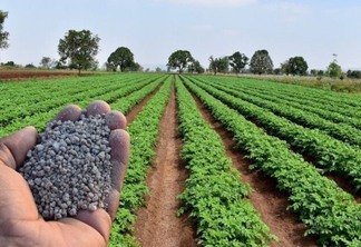 Fabricantes russos de fertilizantes buscam opções de exportação