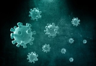 Henipavírus: China alerta à identificação de novo vírus em humanos