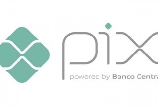 Urubu do Pix: entenda novo golpe que promete dinheiro fácil e rápido